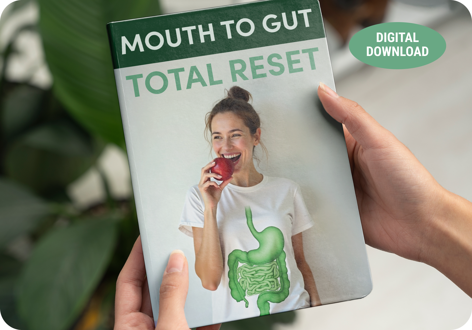 OxyDental Pro bonus guide 2